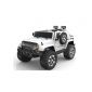 Mobil Aki Jeep HL1668