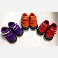Sepatu Anak Rick & Chell Collection 17040017