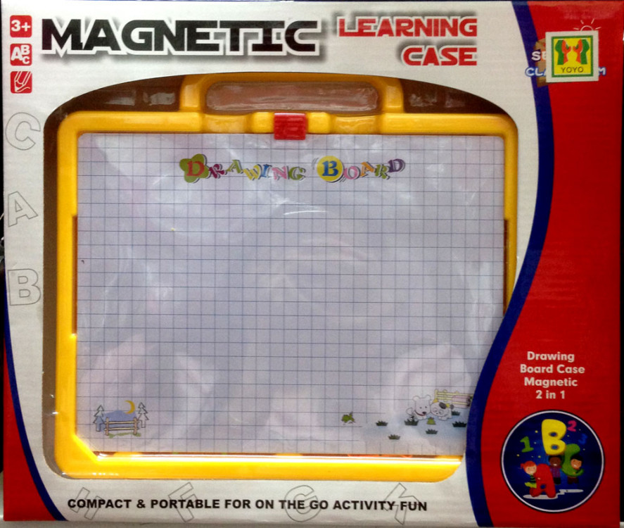 Magnetic Learning Case 17120056