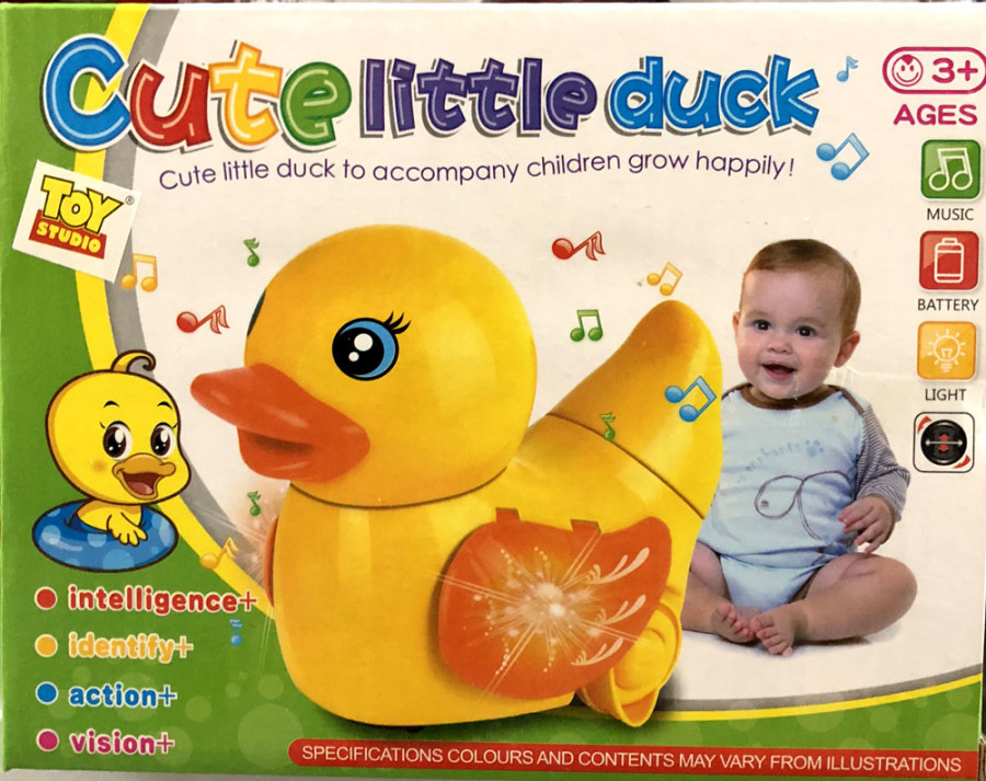 Cute Little Duck 18040046